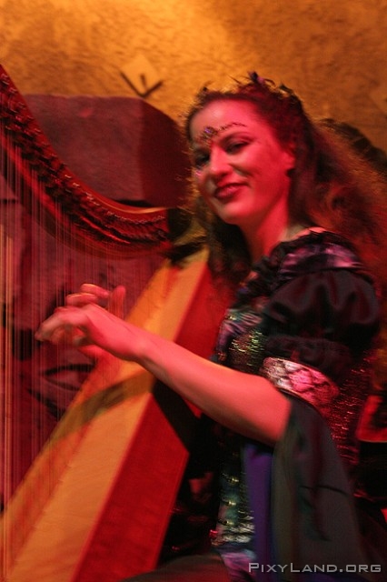 Labyrinth2006_harpist 